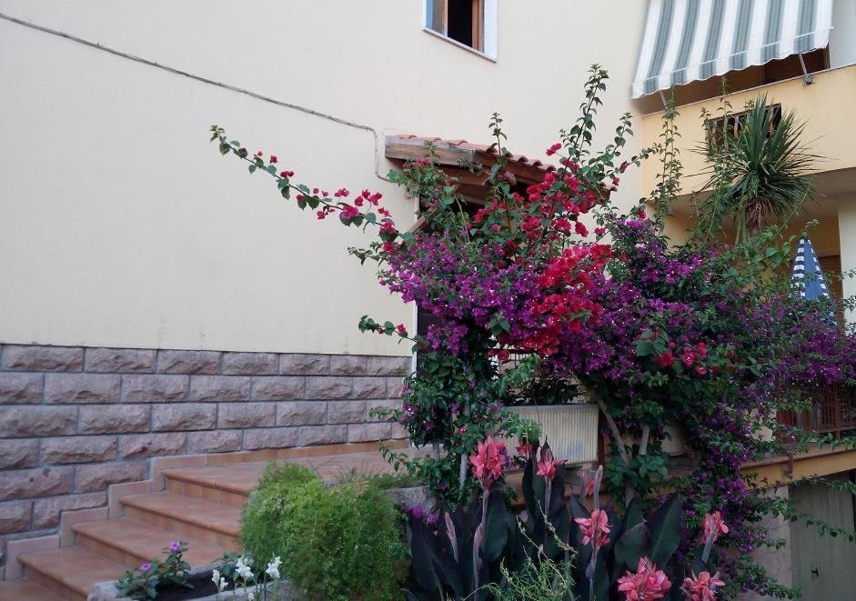 Bed and Breakfast Al 32 Y 3 à Alghero Extérieur photo